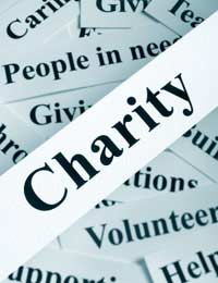 Budget Charities Public Sector
